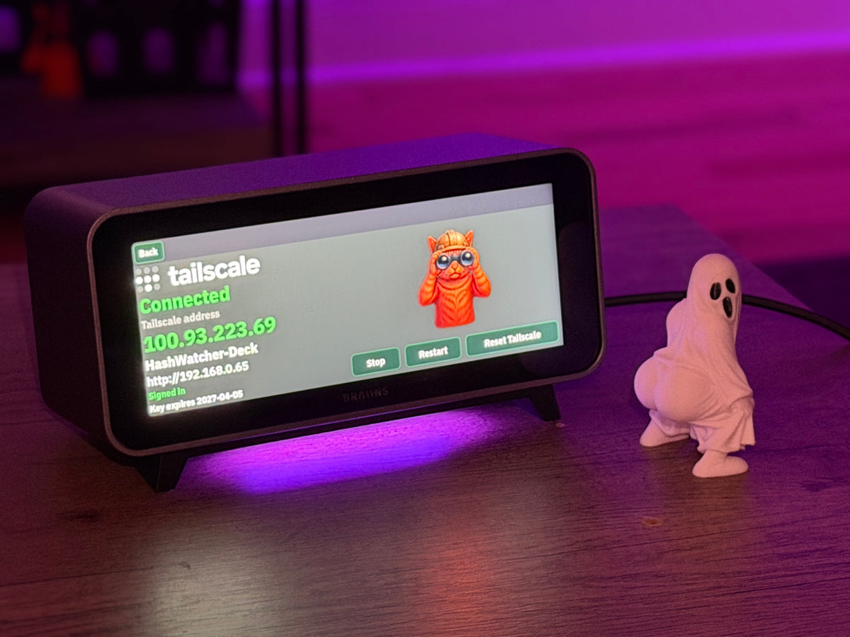 Braiins Deck HashWatcher Tailscale Connected screen with purple glow